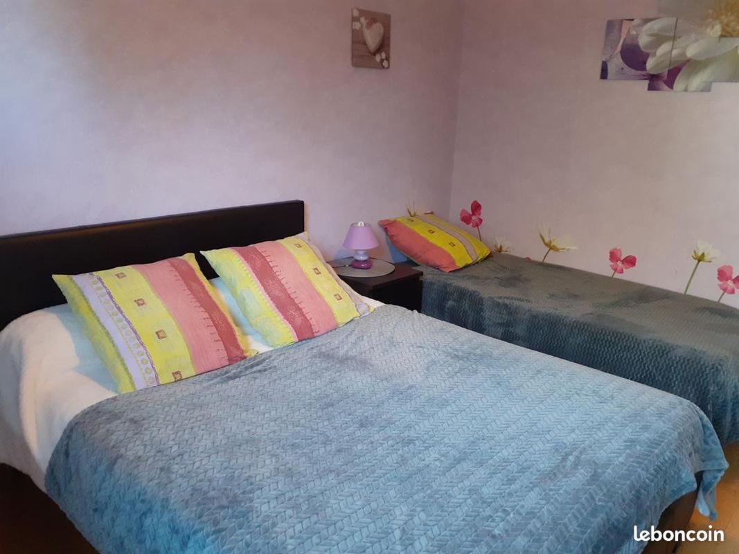Chambres D'Hotes Les Nefliers Amboise Buitenkant foto